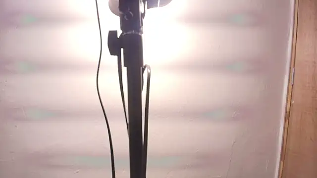 Terraelowen online show from February 2026 11:32:02 AM