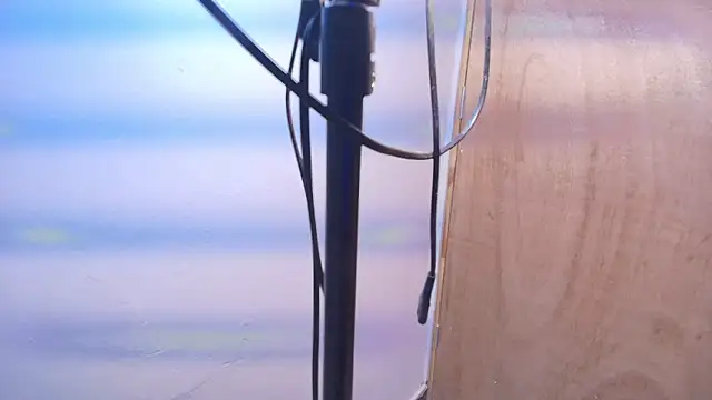 Terraelowen online show from February 2026 11:23:01 AM