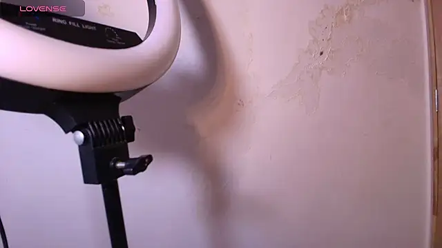 Terraelowen online show from November 2025 11:32:01 AM