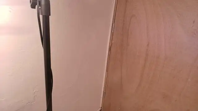 Terraelowen online show from March 2026 11:17:01 AM