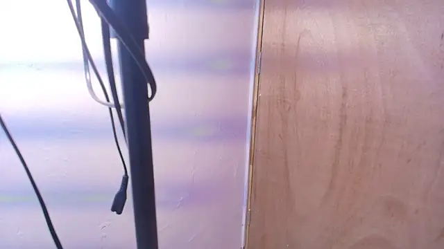 Terraelowen online show from February 2026 11:22:02 AM