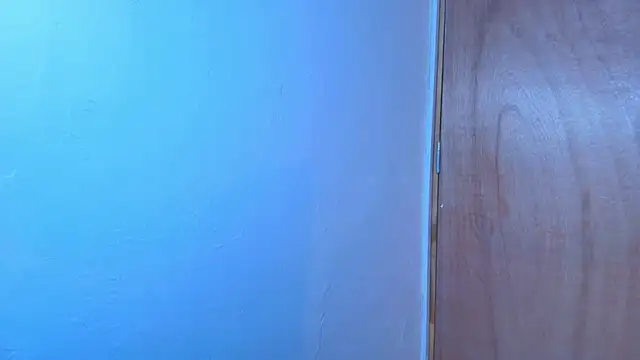 Terraelowen online show from February 2026 11:20:02 AM