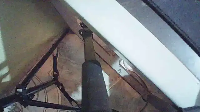 Terraelowen online show from March 2026 01:11:01 PM