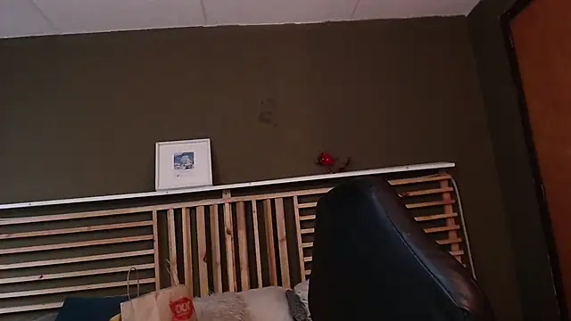 PaulEvens online show from November 2025 01:15:02 PM