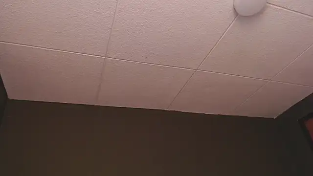 PaulEvens online show from December 2025 01:26:02 PM