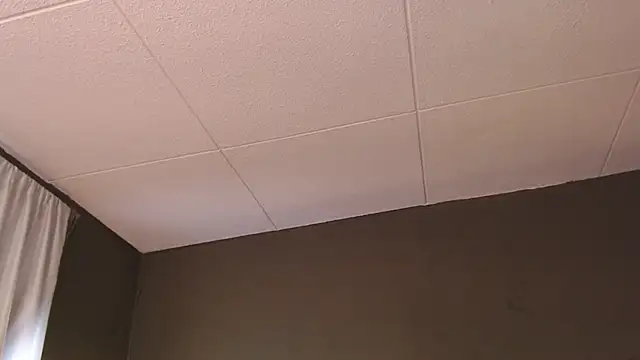 PaulEvens online show from December 2025 01:32:02 PM