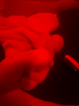 2Tight2Handle online show from October 2025 02:17:02 PM