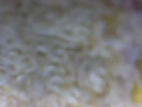 hell1212 25 online show from March 2026 05:39:02 PM