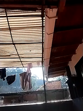 solpeich online show from March 2026 01:01:02 PM