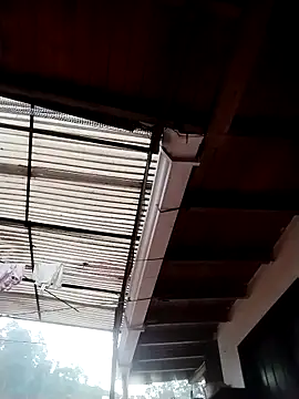 solpeich online show from March 2026 01:06:02 PM