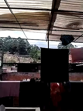 solpeich online show from April 2026 05:30:02 PM