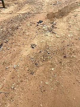 Jaydemasked online show from November 2025 11:10:01 AM