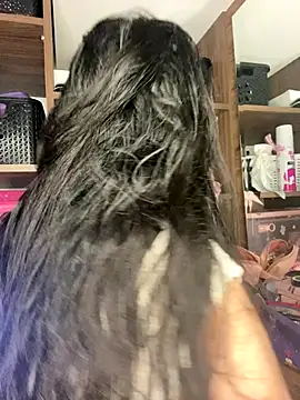 Snapshot of Sophi_dee1 chatting on November 2025 10:13:02 PM Sophi dee1 online show from November 2025 10:13:02 PM