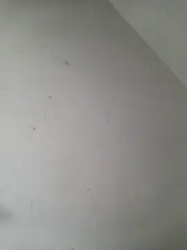 Snapshot of iamlalamilano chatting on March 2026 03:02:02 PM iamlalamilano online show from March 2026 03:02:02 PM