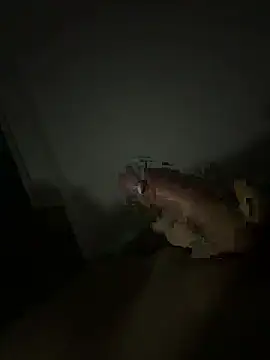 Deadpool010201 online show from March 2026 12:27:01 AM