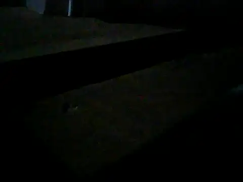 Master2000K online show from February 2026 11:15:01 PM