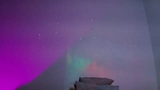 m rosee online show from March 2026 05:05:01 PM