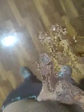 rayane7xx online show from November 2025 03:23:02 PM