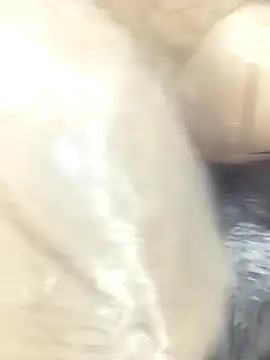 Marathi jiya1 online show from February 2026 05:17:02 AM