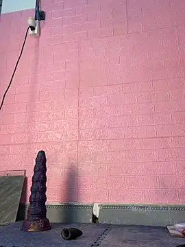 Rose 194 online show from February 2026 03:52:02 AM