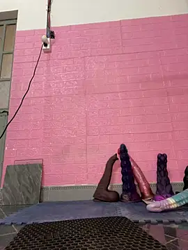 Rose 194 online show from January 2026 08:51:02 AM