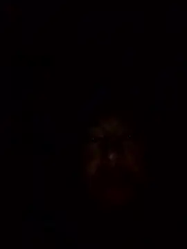 lilldickyyy online show from January 2026 02:44:02 PM