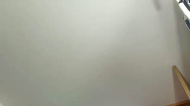 Snapshot of DaveSoldier chatting on February 2026 07:53:02 PM DaveSoldier online show from February 2026 07:53:02 PM