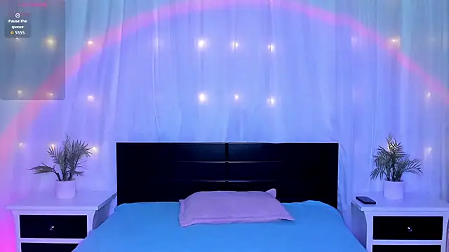 Evolet Bee online show from February 2026 11:32:02 AM