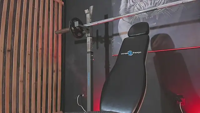 Snapshot of DimitriDeluxe chatting on December 2025 08:13:01 PM DimitriDeluxe online show from December 2025 08:13:01 PM