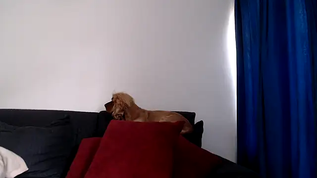 evilheart 69 online show from December 2025 05:50:02 PM