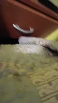 juanfritaa21 online show from March 2026 01:33:01 AM