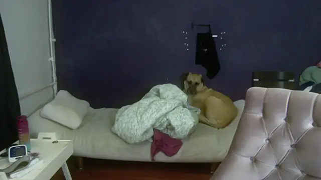 turkishTransEfsun online show from November 2025 10:08:01 AM