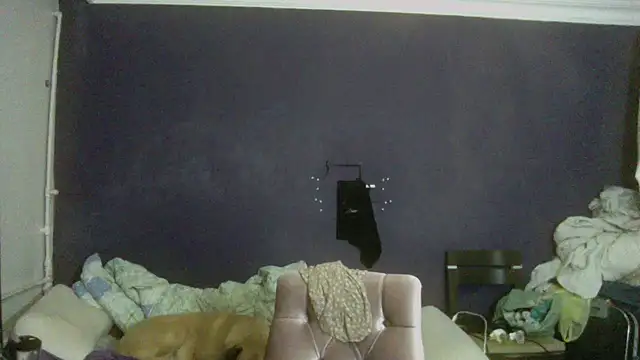 turkishTransEfsun online show from November 2025 05:57:01 PM