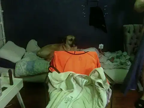 turkishTransEfsun online show from February 2026 11:26:01 PM