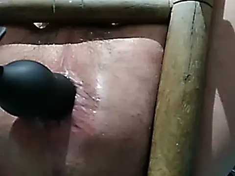 boy888sexy online show from March 2026 03:32:01 AM