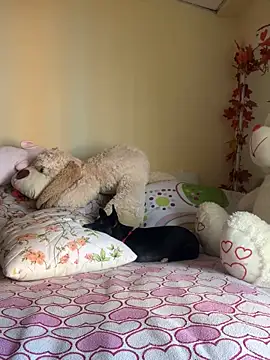 MiaRousexxx  online show from November 2025 08:31:02 PM