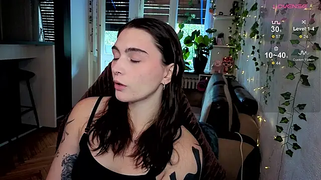 dorfmatratze   online show from October 2025 08:15:01 AM