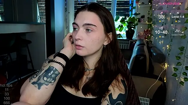 dorfmatratze   online show from October 2025 07:53:01 AM