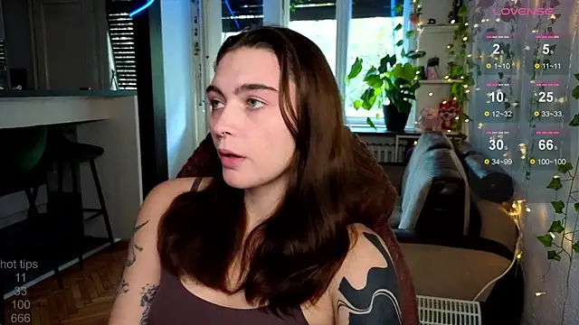 dorfmatratze   online show from October 2025 08:04:02 AM