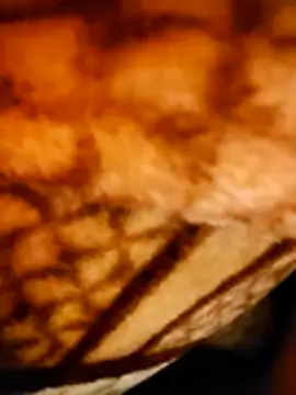 monty935 online show from December 2025 06:19:01 PM