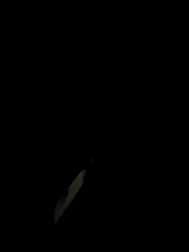 monty935 online show from November 2025 01:23:01 PM