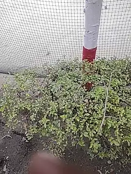 monty935 online show from December 2025 11:42:02 AM