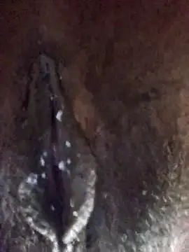 xnmx26 online show from March 2026 02:57:01 AM