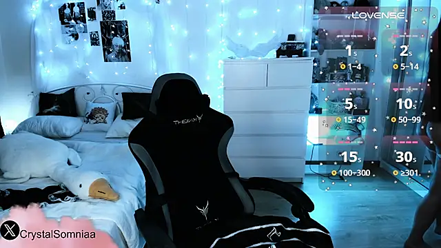 Crystal somnia online show from February 2026 02:19:02 PM