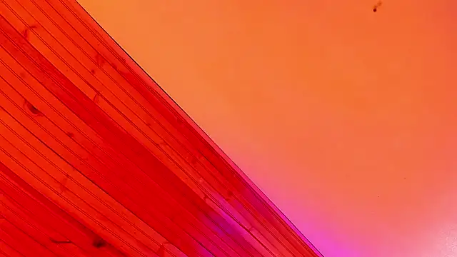 Angel kanon online show from March 2026 12:34:01 PM