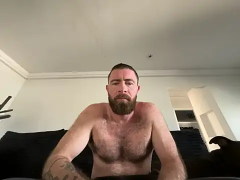 biggdickbandit92 online show from March 2026 02:54:02 PM