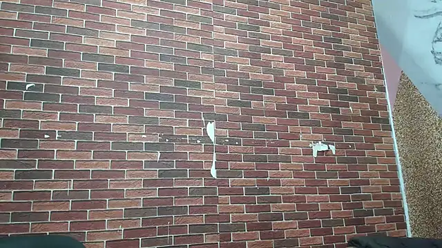 Sexvergon 26 online show from March 2026 01:23:01 PM