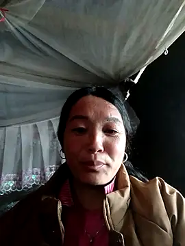 Bliss rose online show from March 2026 02:44:02 AM