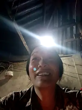 Bliss rose online show from February 2026 02:35:02 PM