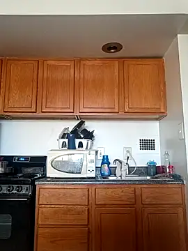 Longthickdick33 online show from April 2026 01:23:02 PM